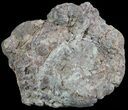 Crystal Filled Dugway Geode (Polished Half) #67494-1